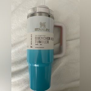 Stanley 30 oz cup